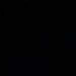 BASIC BLACK
