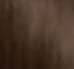 5.3 GOLDEN LIGHT BROWN