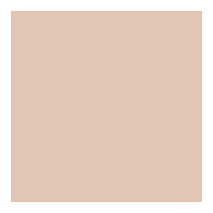 PAESE kompaktinė pudra GLOWING POWDER, spalva 12, 10 g-1