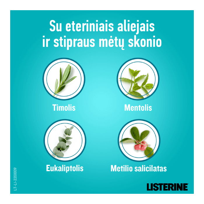 LISTERINE burnos skalavimo skystis COOLMINT, mėtų skonio, 1000 ml-1