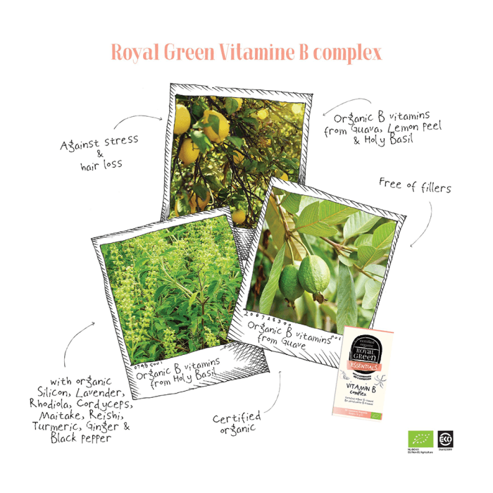 ROYAL GREEN BIO vitaminų B kompleksas, LT-EKO-001, 60 kapsulių-1