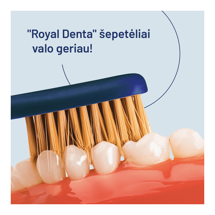 ROYAL DENTA dantų šepetėlių rinkinys GOLD SOFT MODERN, 4 vnt.-2