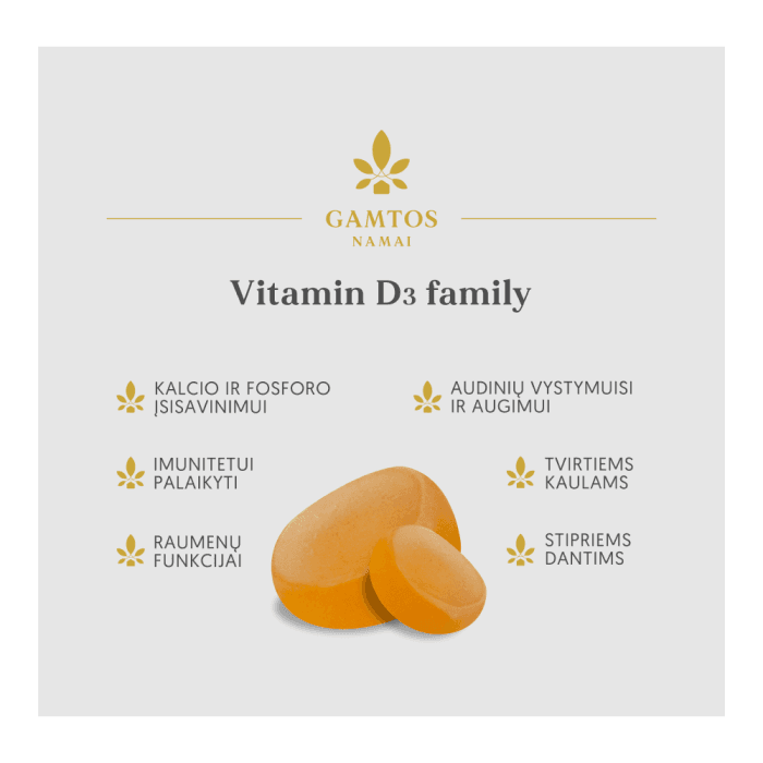 GAMTOS NAMAI vitaminas D3 FAMILY, 60 guminukų-1