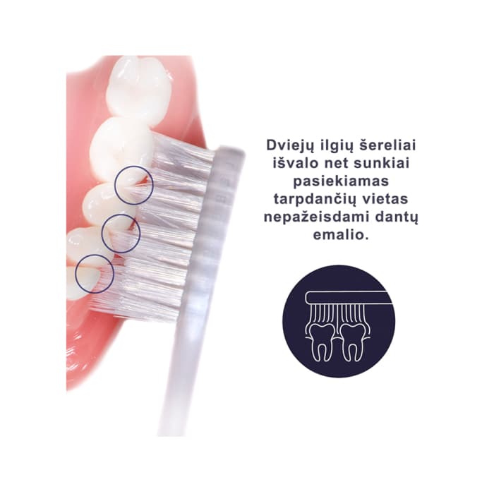 ROYAL DENTA dantų šepetėlis SILVER MEDIUM, 1 vnt.-1