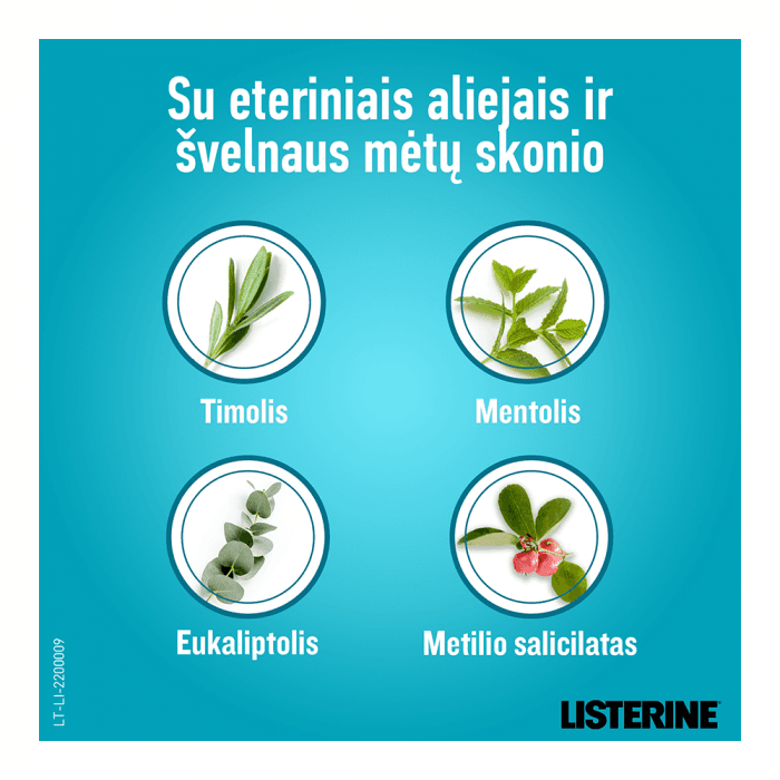 LISTERINE, burnos skalavimo skystis, Coolmint Mild taste, 1000 ml-1