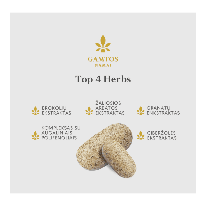 GAMTOS NAMAI TOP 4 HERBS, 120 tablečių-1