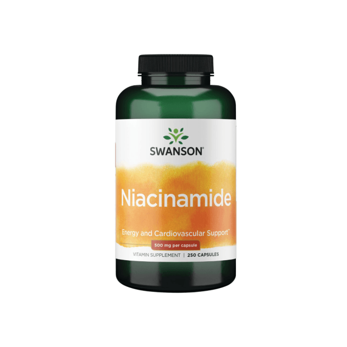 SWANSON VITAMINAS B3 (NIACINAS) 500 MG, 250 kapsulių