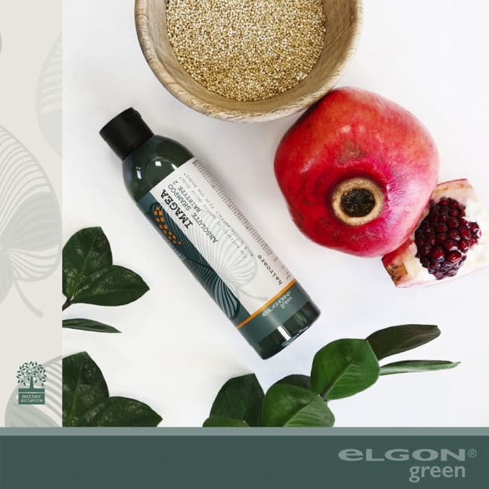 ELGON GREEN šampūnas dažytiems plaukams IMAGEA ABSOLUTE, 250 ml-1