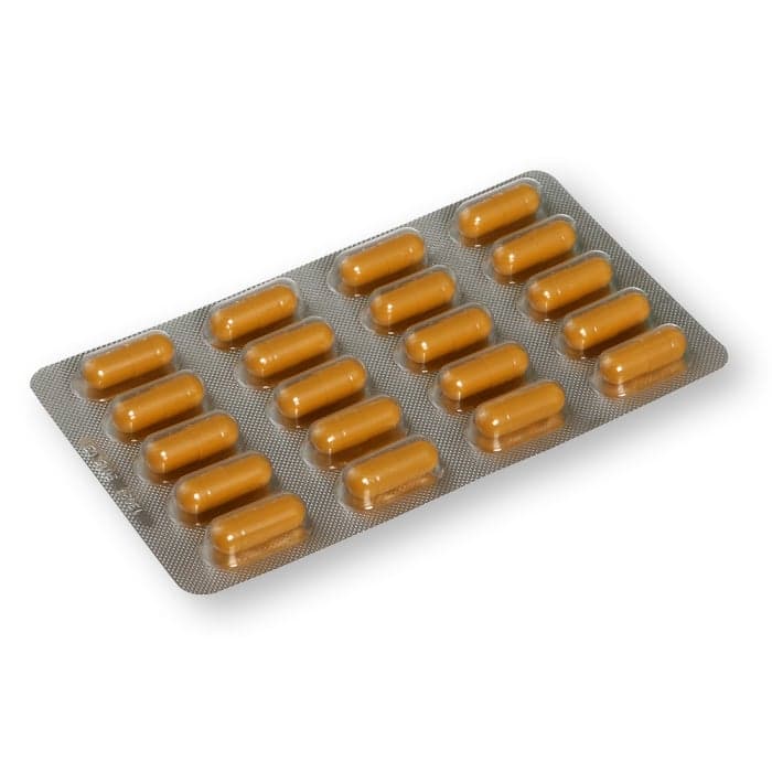 GINKOBIL, 120 mg, kietosios kapsulės, N40-1