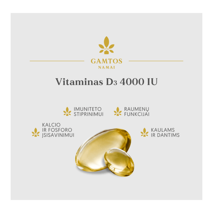 GAMTOS NAMAI VITAMINAS D3 4000 IU, 90 kapsulių-1