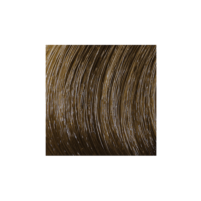 COLOR & SOIN plaukų dažai be amoniako 7N Hazelnut Blond, 135 ml-2