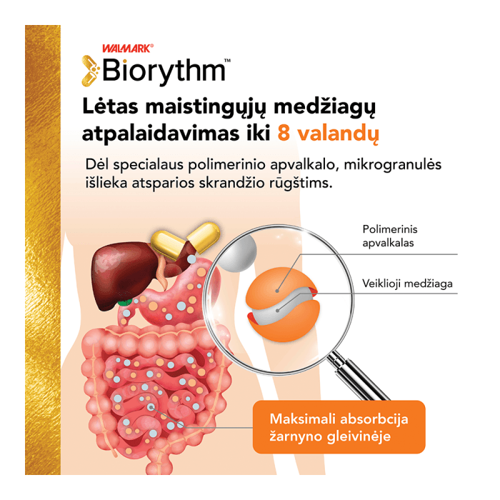 BIORYTHM IRON (prailginto veikimo geležis), 28 mg, 30 kapsulių-2