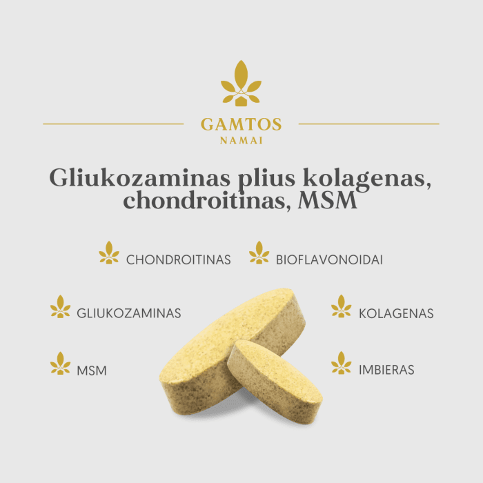 GAMTOS NAMAI gliukozaminas plius kolagenas, chondroitinas, MSM, 60 tablečių-1