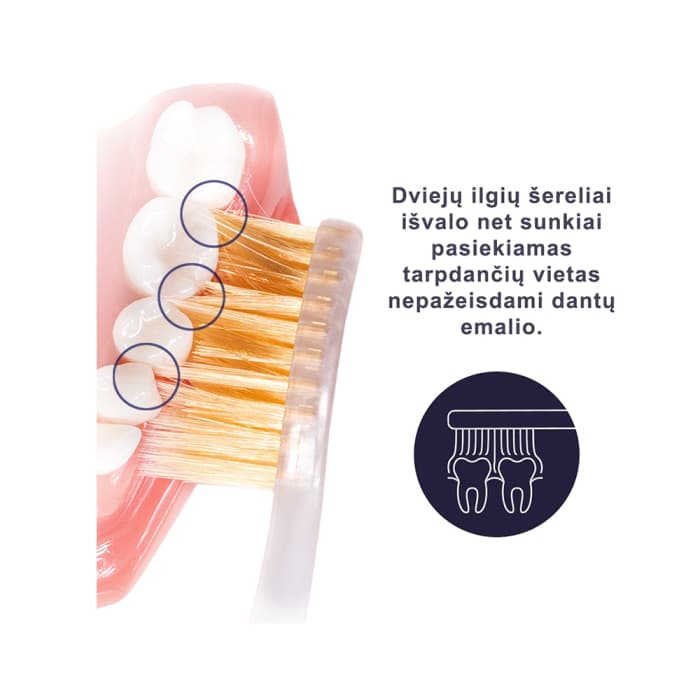 ROYAL DENTA dantų šepetėlis GOLD MEDIUM, 1 vnt.-2