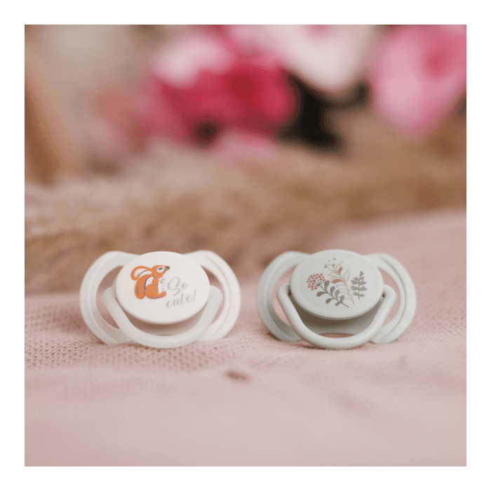 Babyono čiulptukas silikoninis simetrinis 6-18m 1669/02, 2 vnt.-1