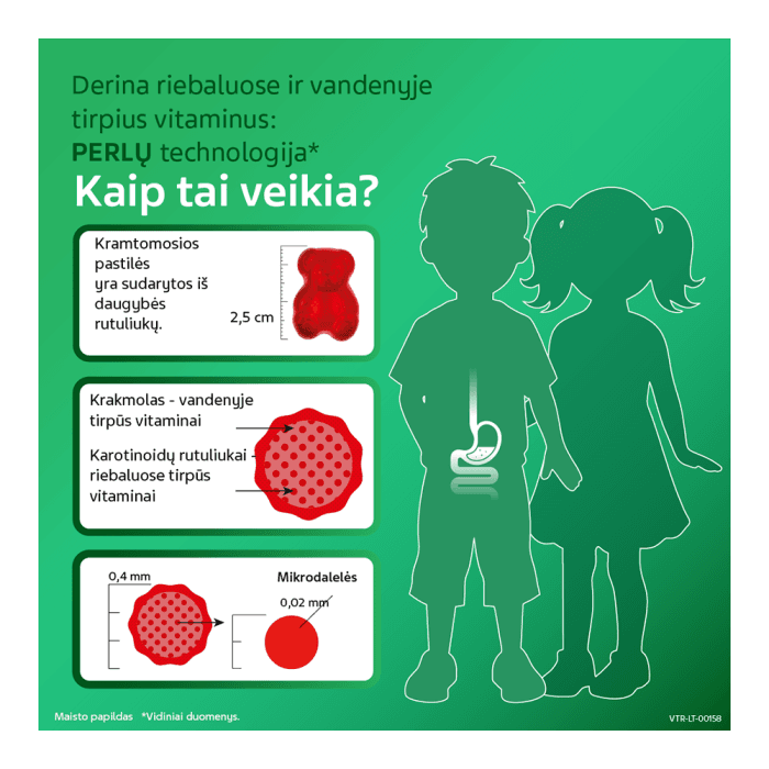 VITIRON KIDS School for BRAIN, 50 kramtomųjų guminukų-2