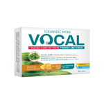 VOCAL, medaus ir citrinų skonio, 24 Pastilės