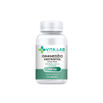 VITA-LAB Ginkmedžio ekstraktas 120 mg, 90 tablečių