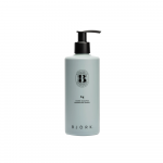 BJORK, AG,  Šampūnas pilkos spalvos tonui palaikyti, 300 ml