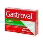 GASTROVAL FLUXUS, 15 kapsulių