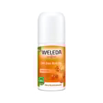 WELEDA 24 val. rutulinis dezodorantas su šaltalankiais SANNDORN, 50 ml