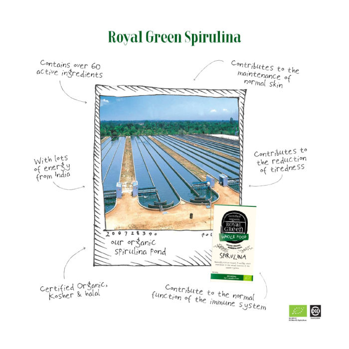 ROYAL GREEN BIO SPIRULINA 1000 MG, LTEKO001, 60 tablečių